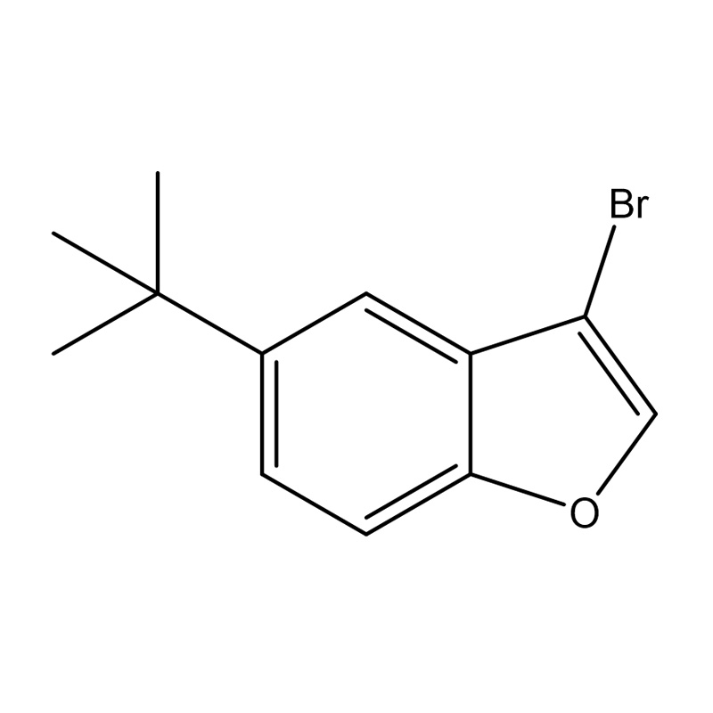 3-Bróm-5-terc-butylbenzofurán